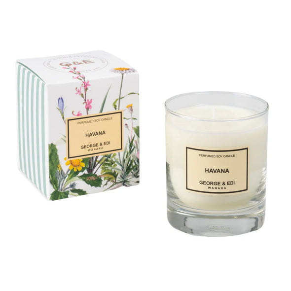 Perfume Soy Candle-Havana Std