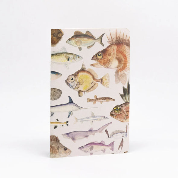 Fishes of NZ Notebook Set