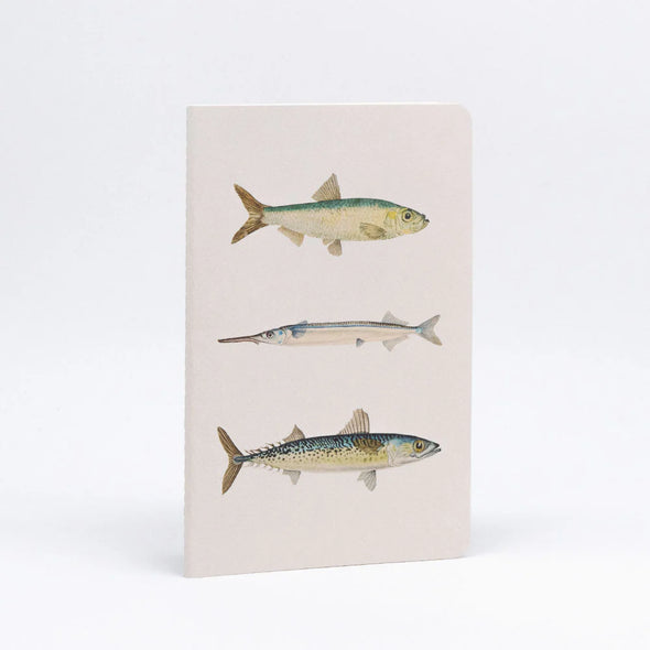 Fishes of NZ Notebook Set