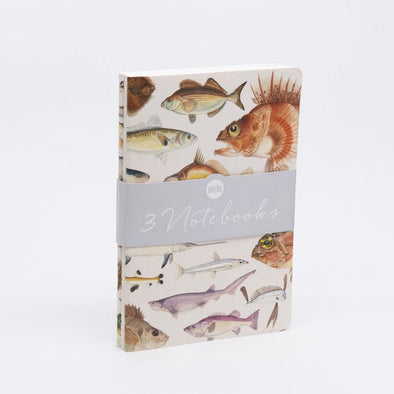 Fishes of NZ Notebook Set