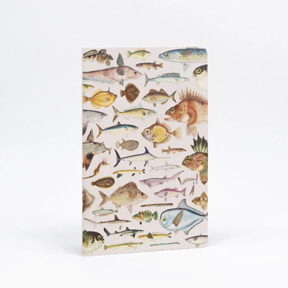 Fishes of NZ Notebook Set