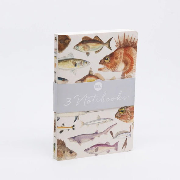 Fishes of NZ Notebook Set