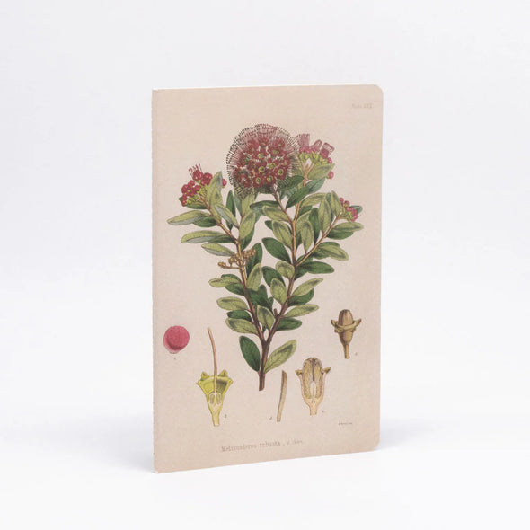 NZ Botanical Notebook Set